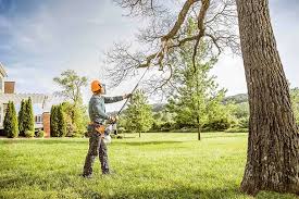 Best Emergency Tree Removal  in Weaverville, CA