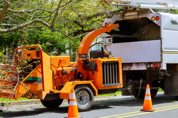 Best Utility Line Clearance  in Weaverville, CA